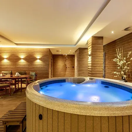 Rezidence Moser Family Карловы Вары