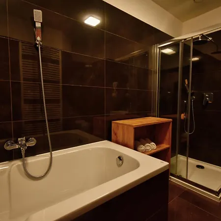Rezidence Moser Family Карловы Вары